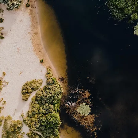 Het Zomerhuis Family *