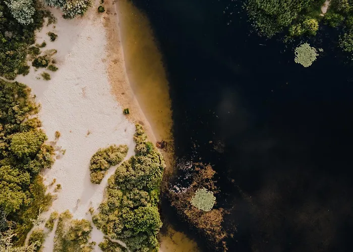 Het Zomerhuis Family *